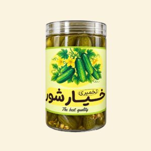 خیار شور تخمیری و پروبیوتیک فروانا