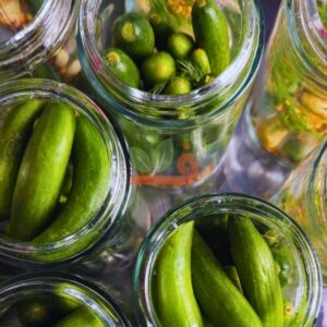 خیارشور پروبیوتیک