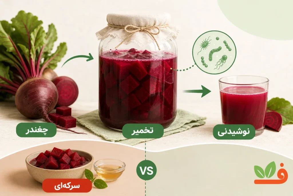 نمای آموزشی کواس چغندر و تفاوت تخمیر آن با چغندر سرکه‌ای