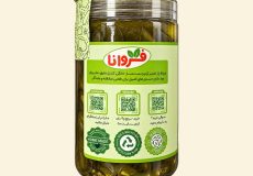 خیار شور تخمیری و پروبیوتیک فروانا